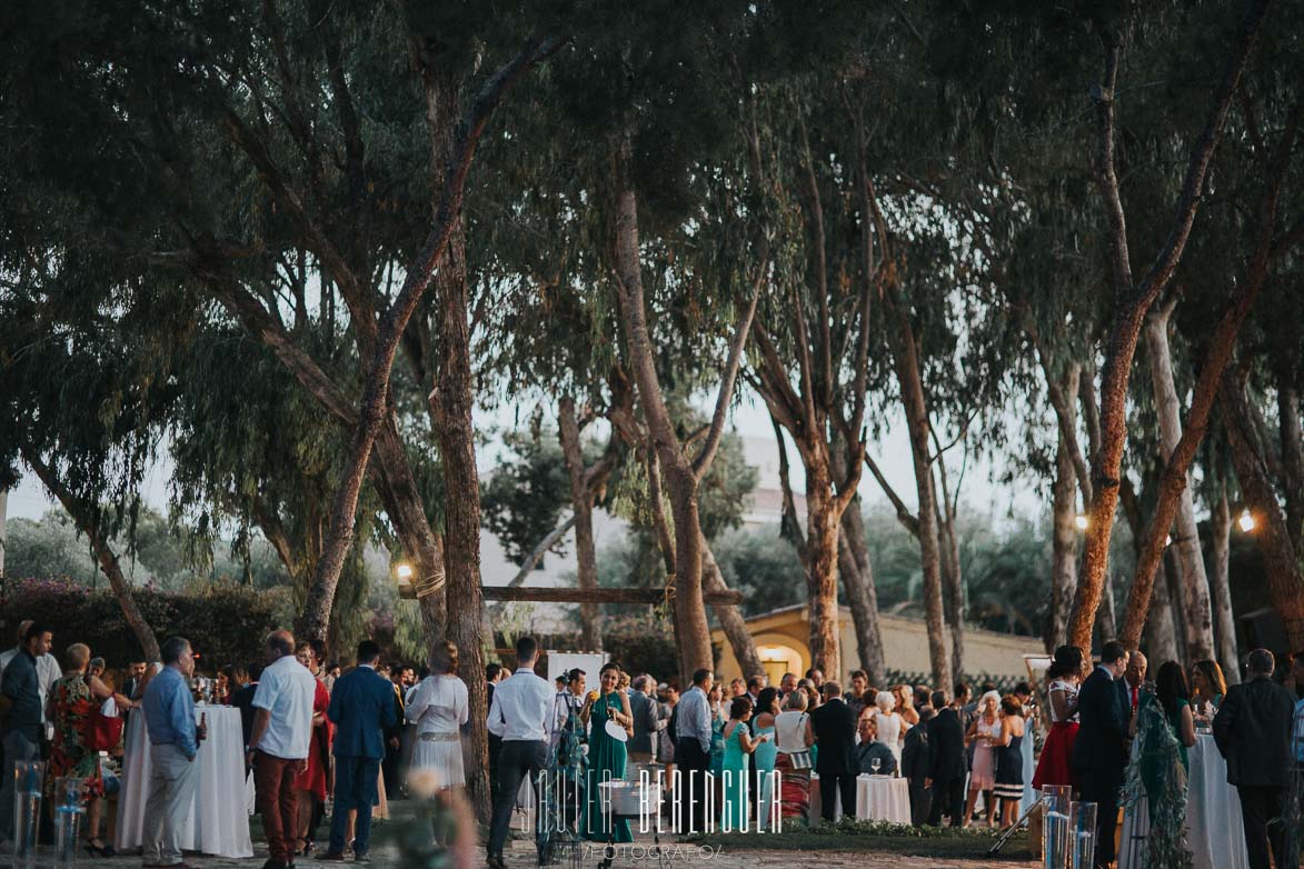 Torre_Bosch's tweet photo. ¿Quieres hacer tu celebración entre árboles centenarios? #naturaleza #jardines #bodas #eventos #alicante https://t.co/gRsxwKpSaV