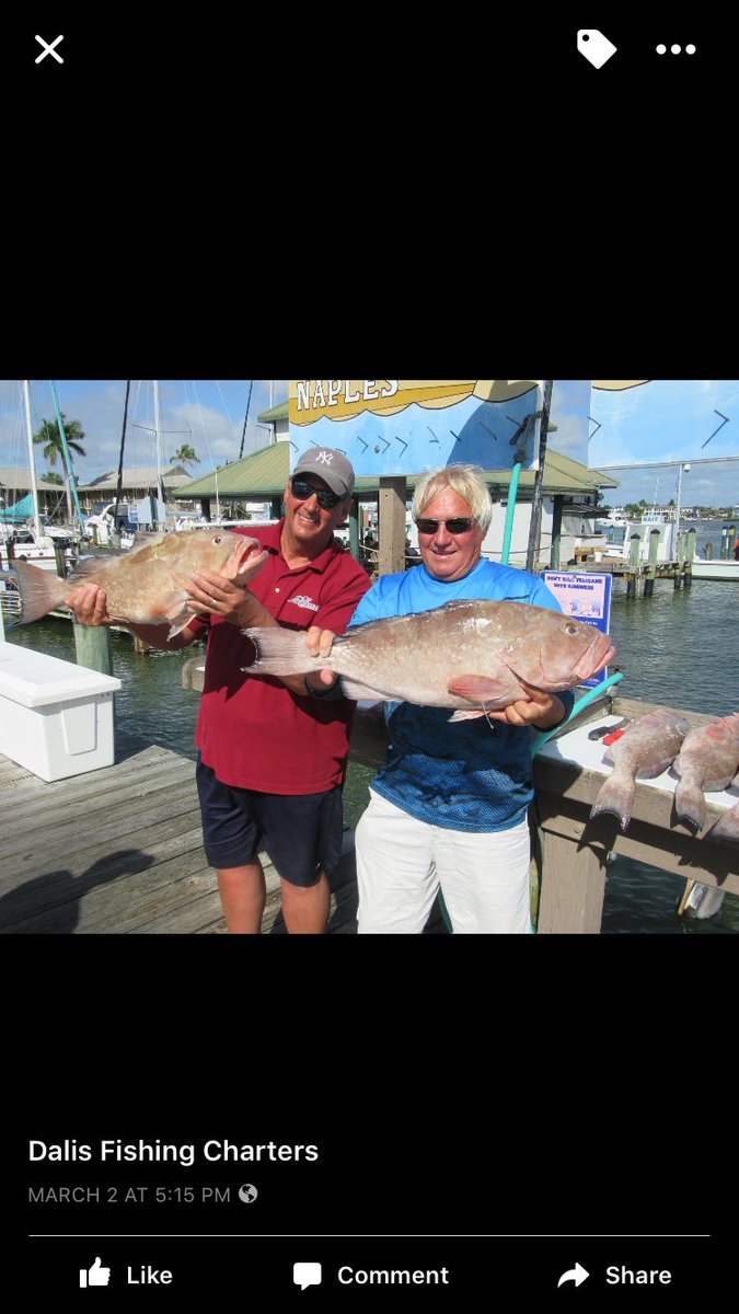 DalisFishing's tweet photo. @citydockplan spring break catching fish! https://t.co/Gl8aB9orMO