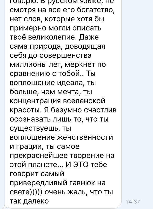 STIRTOVA tweet picture