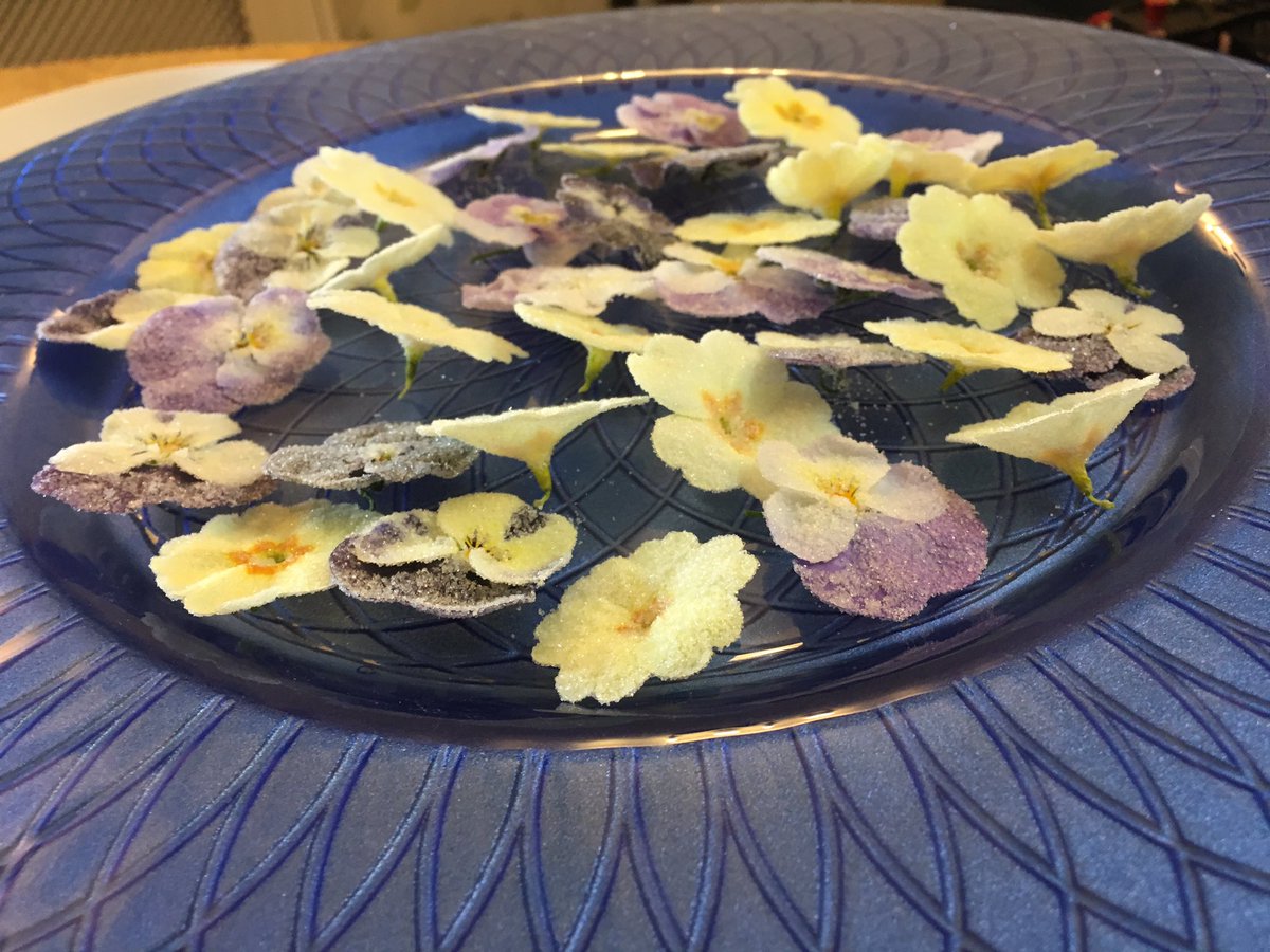 SeanFletcherTV's tweet photo. Just finished voiceover for @BBCCountryfile filming on edible flowers in North Wales. U can see the piece this Sunday. @eatmyflowers @BBCOne https://t.co/2gUZfglDjp