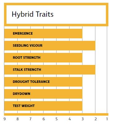 DEKALB_Canada's tweet photo. It's #WingWed and we're highlighting DKC48-56RIB! Incredible top end yield potential & disease package https://t.co/VmcjpC23fh https://t.co/ziHdo1n2MZ