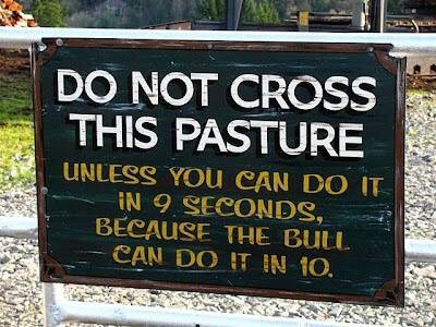 AllRanch's tweet image. Good mornin' y'all! Be safe!
@ProRodeoOnline @PBR @bfsonly #run #bull #fast #jump #preifert #panel