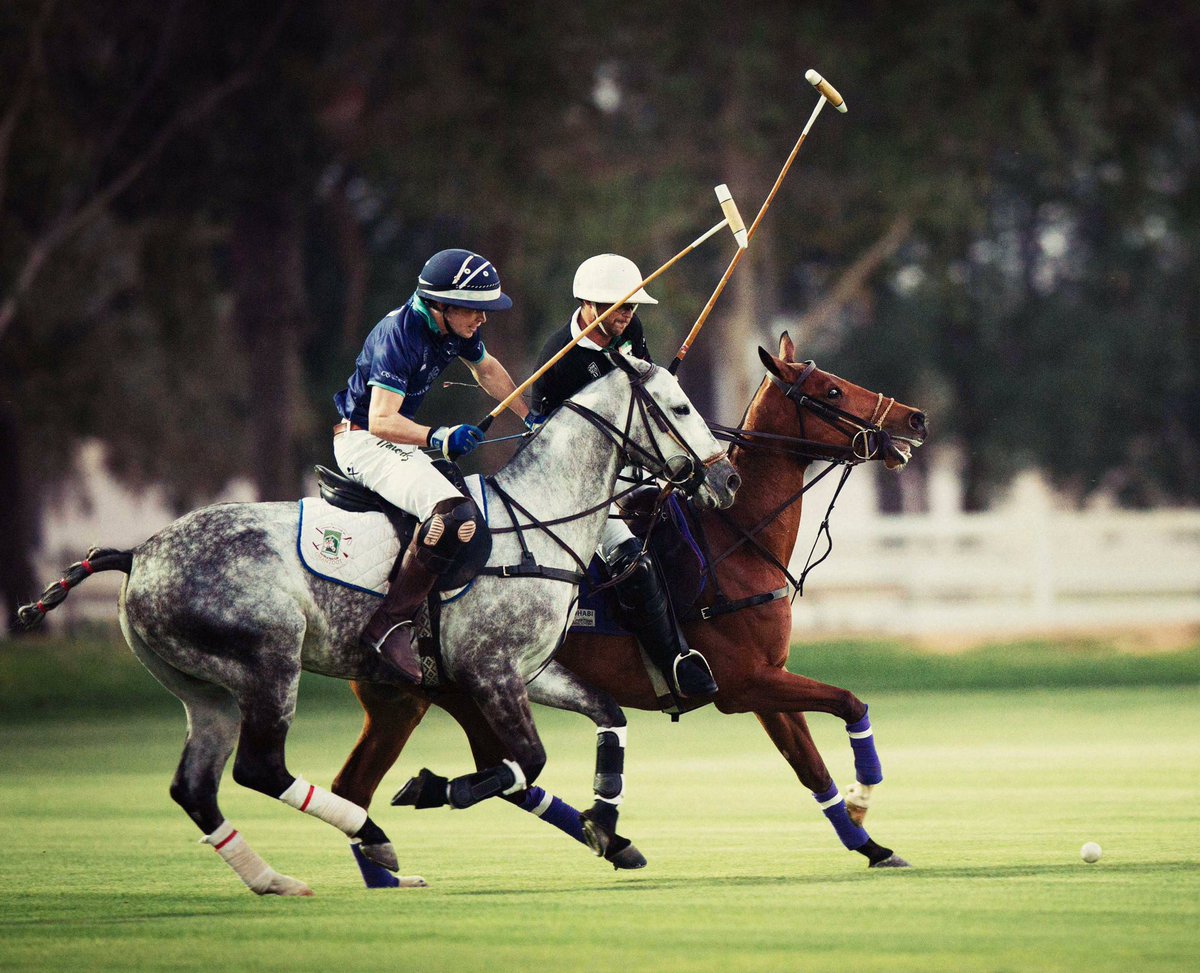 Britishpoloday's tweet photo. Horse &amp; man. #britishpoloday https://t.co/MXOBTOQy9s