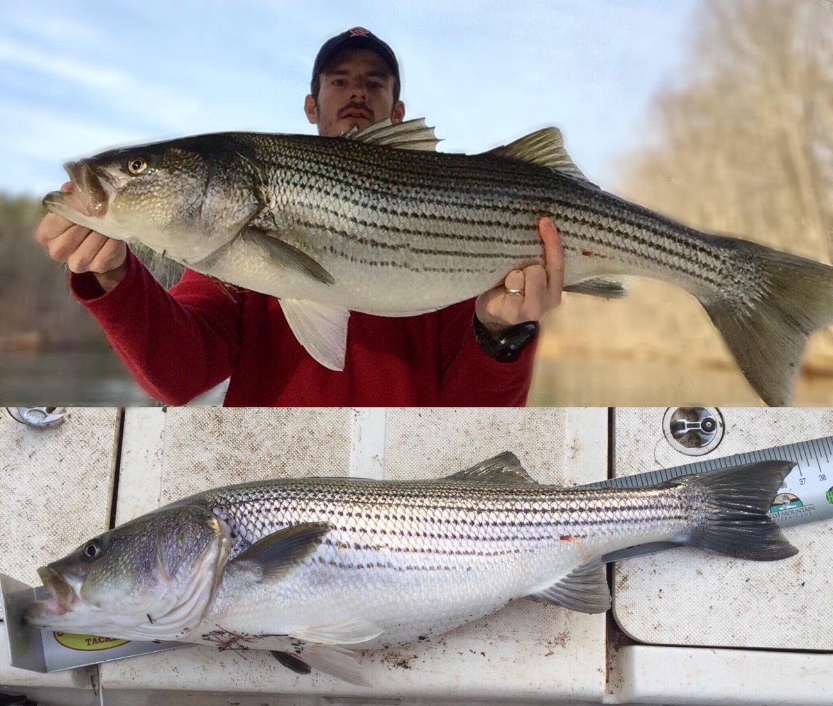 After work quickies are the best! #daylightsavings #14inchshad #stripermafia