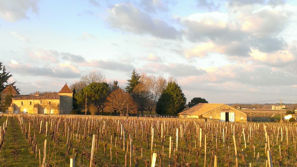 Plugwine tweet media