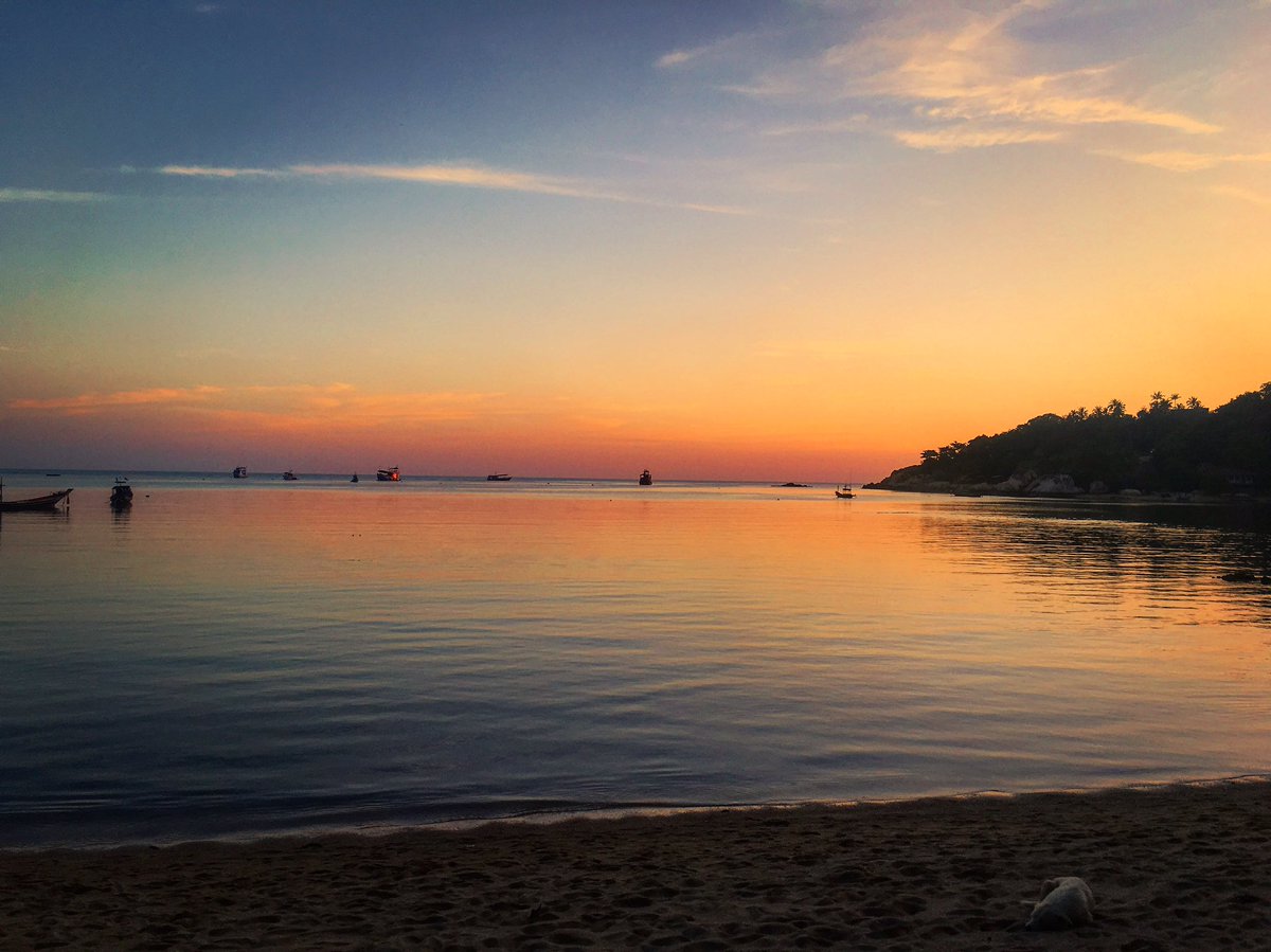 ViajaConMcklin's tweet photo. Atardeceres de ensueño en Koh Tao
#viajar #travel #thailand #kohtao https://t.co/INEQodEdAa