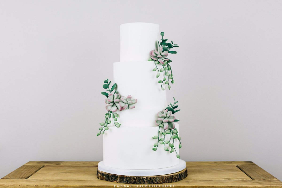 Loving succulents on an otherwise dreary hump day 😍❤️ Image by <a href="/DarinaStoda/">Darina Stoda</a>