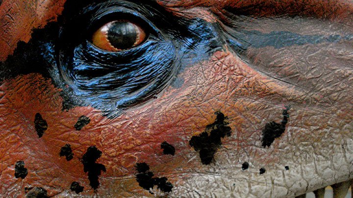 Improved vision rather than powerful limbs allowed early vertebrates to make the transition from water to land ow.ly/Emrk30a9fdW #OT