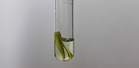 Scientists <a href="/Cambridge_Uni/">Cambridge University</a> harness #solar power to produce clean #hydrogen from #biomass cam.ac.uk/research/news/… #energystorage