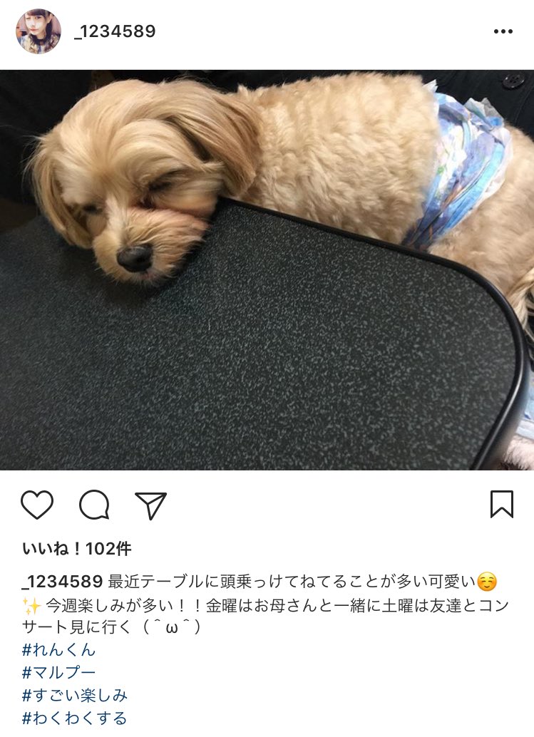 金曜日と土曜日にみほちゃんいるらしいんでみなさん探してください(^_^)/~~