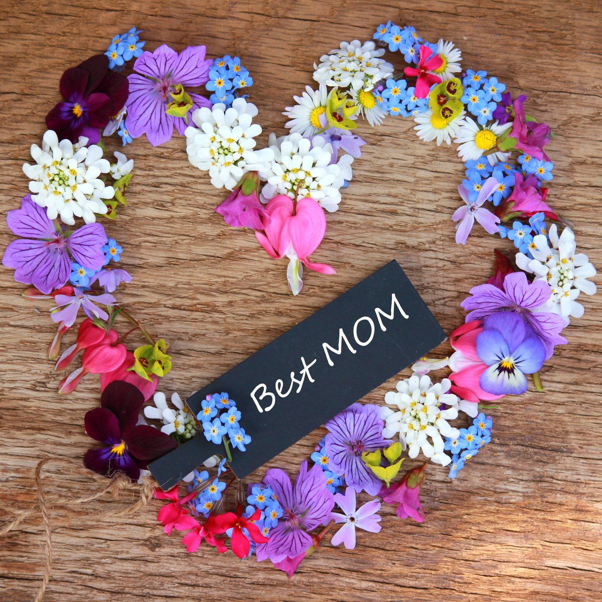 CookGreekUK's tweet image. Are you looking for the perfect Mother's Day present?
How about a gift voucher for a cooking lesson with a private chef?