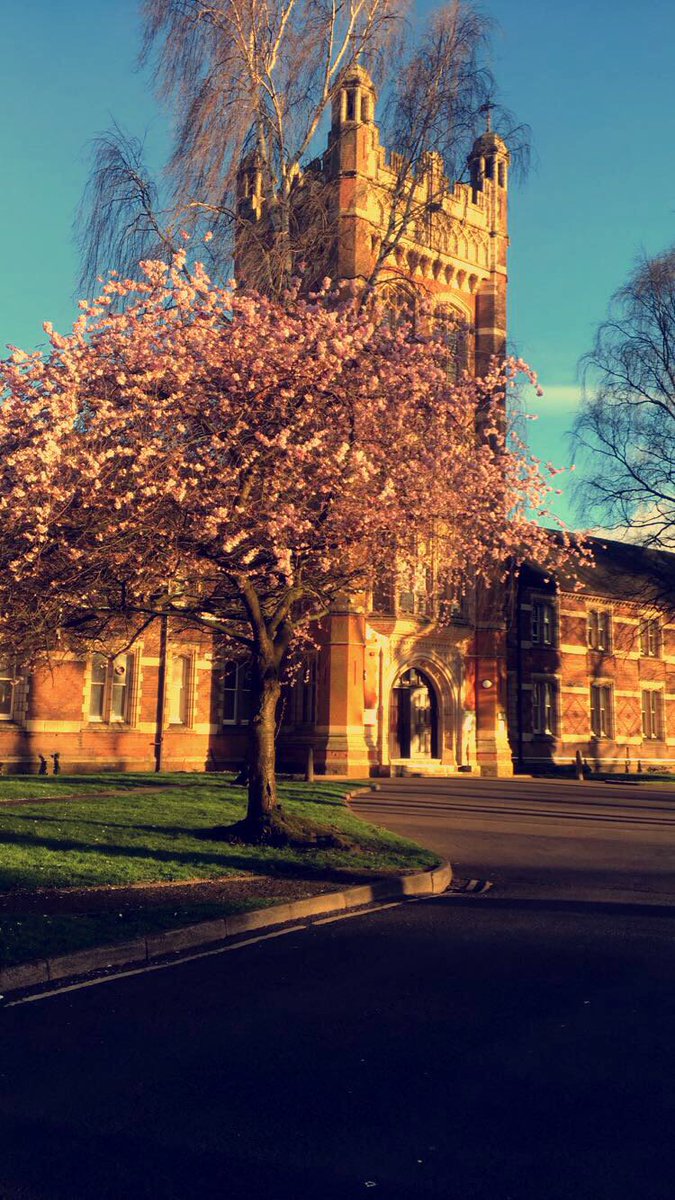 hamsteadcampus's tweet image. Loving the student entries to our photo competition!