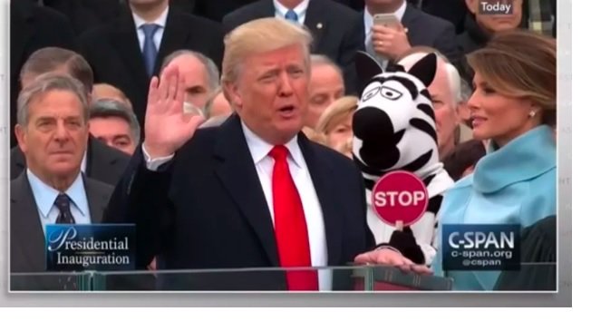 MujerBolivia's tweet image. Con el #JustAddZebra, las cebras bolivianas se hacen virales en las redes sociales. bit.ly/2n71ERF