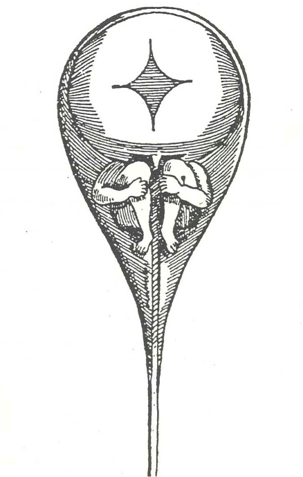 Mariechamorin1's tweet photo. Spermatozoรฏde selon le biologiste Nicolaas Hartsoeker (1694)... #LaFemmeNestQuUnFourInutile #feminismWasNotBorn #ps291 https://t.co/KTTgD6CIib