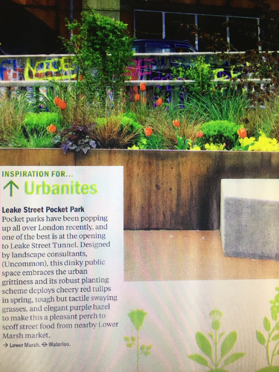 Deb Nagan tweet media