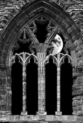 VodkaGothBitch's tweet photo. #gothicwindows https://t.co/9hB5tdzlkc