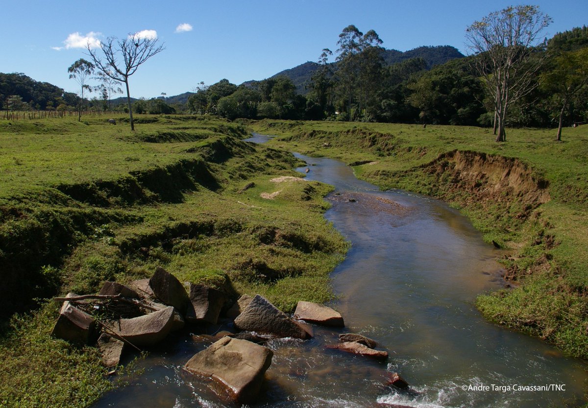 nature_org's tweet photo. The journey to water security begins with recognizing nature as vital water infrastructure. https://t.co/EbmLFW5Ci8 #WorldWaterDay https://t.co/4sD1QGplfe