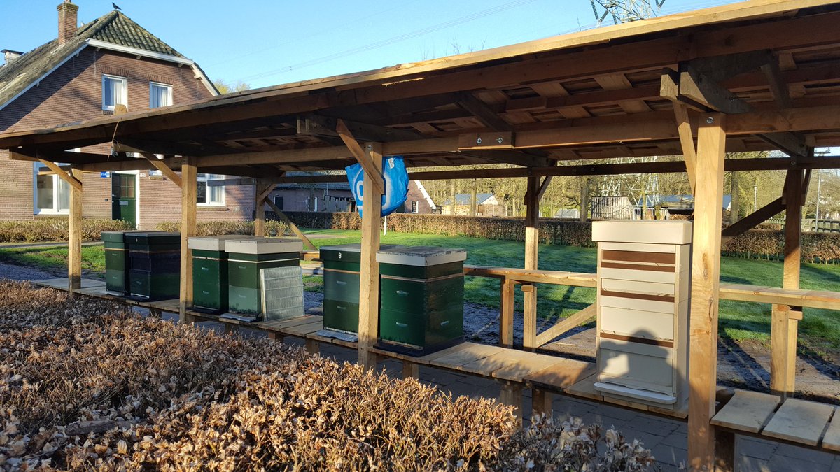 MattyTimmermans's tweet image. Morgen het comunity verhaal achter de nieuwe Bijenstal op congres @PlanetreeZorg @GGzE @woenselsepoort @Proeftuin040 @GroeneCorridor