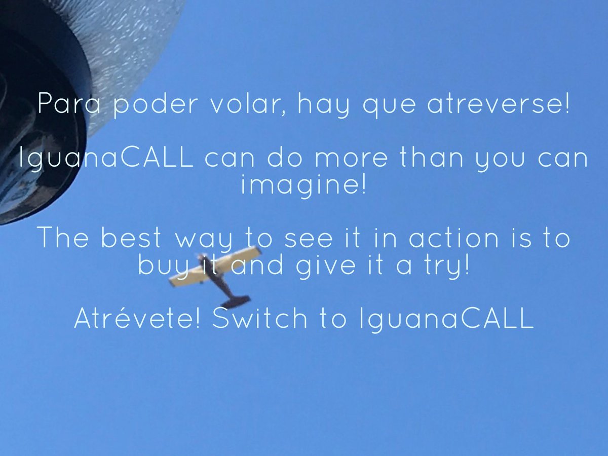 IguanaCALL's tweet photo. Dare to fly! https://t.co/lAxobS5wCp #VoIP #BusinessPhoneSystems #CloudBasedPhoneSystem #SocialMedia #Entrepreneurs #CloudBasedCallCenter https://t.co/skjN3JRphs