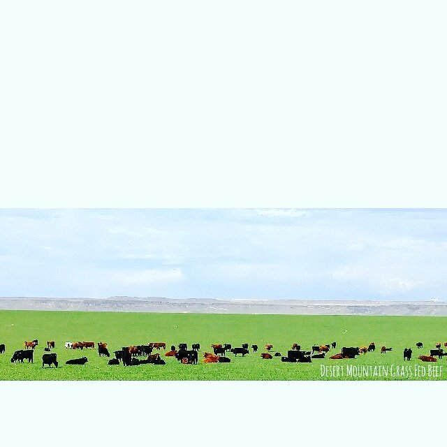 desertmtngrass's tweet photo. Greener pastures here in #Idaho! Spring has arrived! #grassfedbeef #idahome #lifeisgood #happycows #ranchlife #idaholocal #thisisidaho https://t.co/O6Vqnf4HMS
