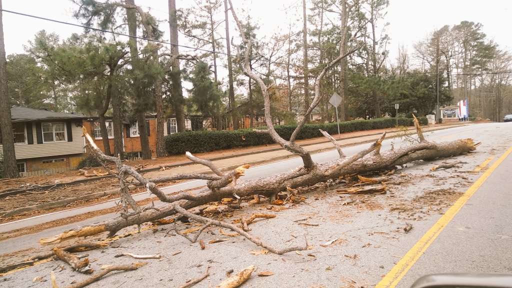PortiaFOX5's tweet photo. Be careful out there folks. Storm debris is still littered all over Metro Atlanta. Saw this on Central Drive in Stone Mountain.@FOX5Atlanta https://t.co/tGk7E6qzzj