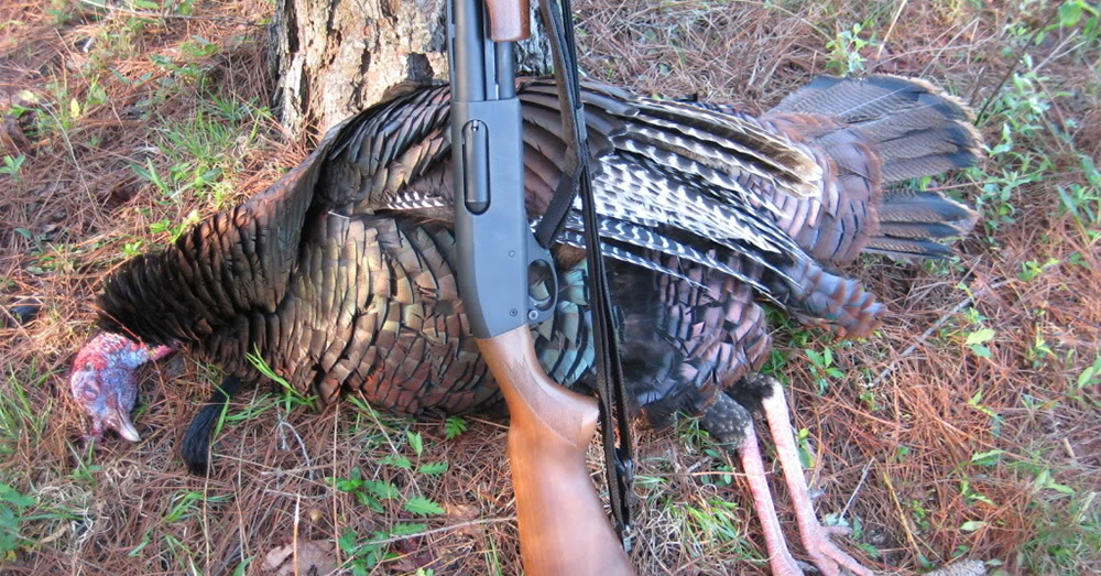 GunClub_America's tweet photo. Is your shotgun ready for opening day of the spring turkey #hunting season? https://t.co/z2DRCrpbJV https://t.co/i5XpW1kClA