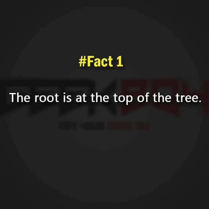 technoduzz's tweet image. Root!
#technoduzz #fact