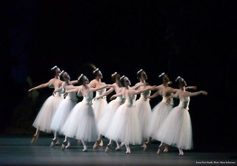 #AmericanBalletTheatre 
#ballet #beauty #grace #art ❤️💃❤️