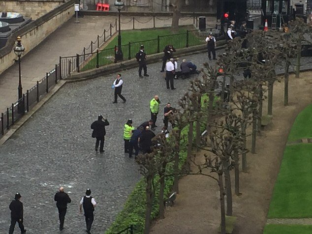 LeFRdeBase's tweet photo. 🚨🔴 ALERTE: L'ASSAILLANT SERAIT TOUJOURS EN VIE et blessé par balles (police UK) #Londres #London #Parliament #Westminster https://t.co/PK5IWbYYpG