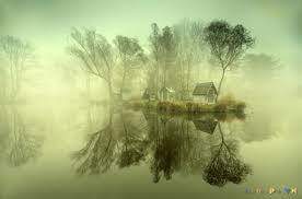 embriadja tweet picture
