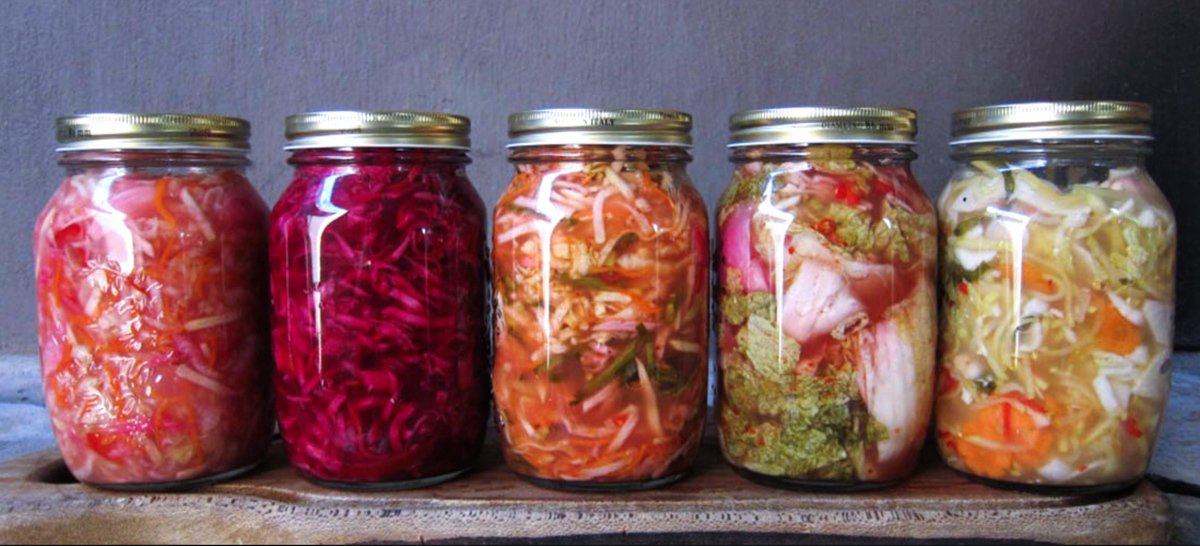 SirensScoundrel's tweet photo. Our fave LA songstress &amp; healthy eating expert @BeebeJesus shares her gut healing #raw #Sauerkraut #recipe today!~ https://t.co/vvxRgunVFt https://t.co/eGPmEBqb7C