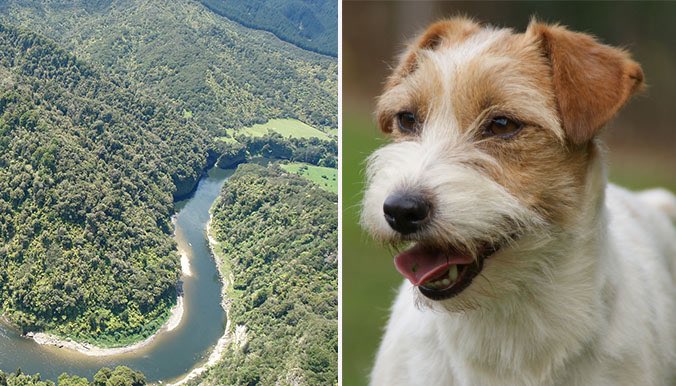 30millionsdamis's tweet photo. Le statut de personnalité juridique donné à un fleuve néo-zélandais pour le protéger.Une idée pour les animaux en 🇫🇷 https://t.co/KEte2h2k0J https://t.co/qZyITraYws
