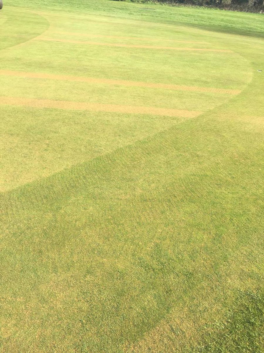 #TopDressing