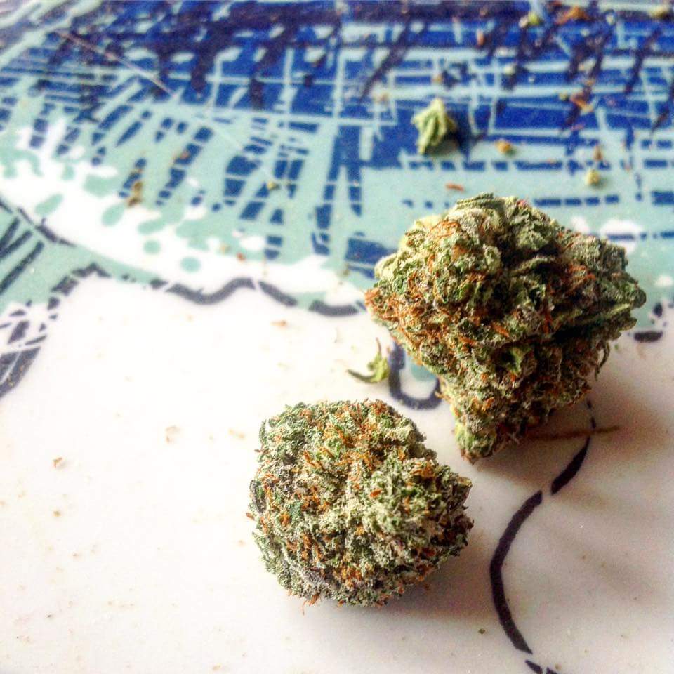 EmilyArynMorris's tweet photo. How Do You #RethinkCannabis ? https://t.co/97glqXh8Dp #ProPlantWare #Cannabis #MedicalCannabis #TheNewNormal #ProPlant #Health https://t.co/xtgT9wGEbm