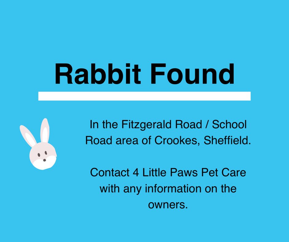 4LittlePaws's tweet photo. Rabbit found in Crookes #rabbit #lostrabbit #sheffield #crookes https://t.co/cxV8Lag16i