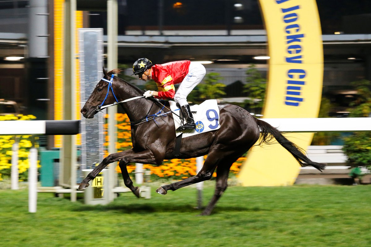 HKJC Racing tweet media
