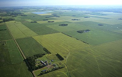 SchunemanEquip's tweet photo. Minnesota has 26 million acres of land in farms. Thanks @MinnesotaFarm for the #FunFactFriday! https://t.co/s6vZ4NelsB