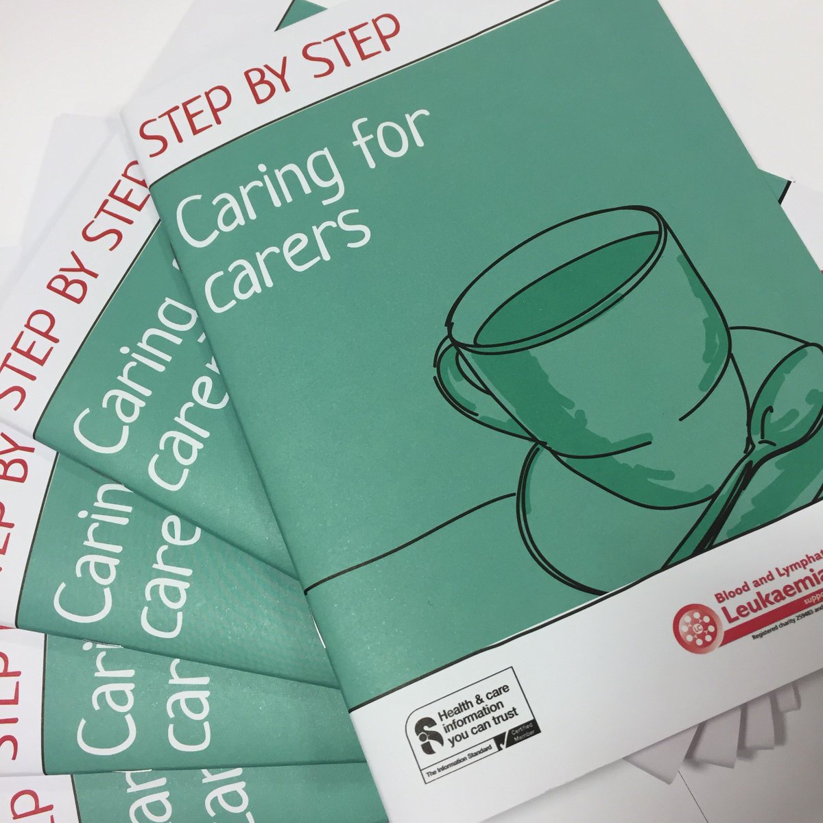 download corporate manslaughter and regulatory reform