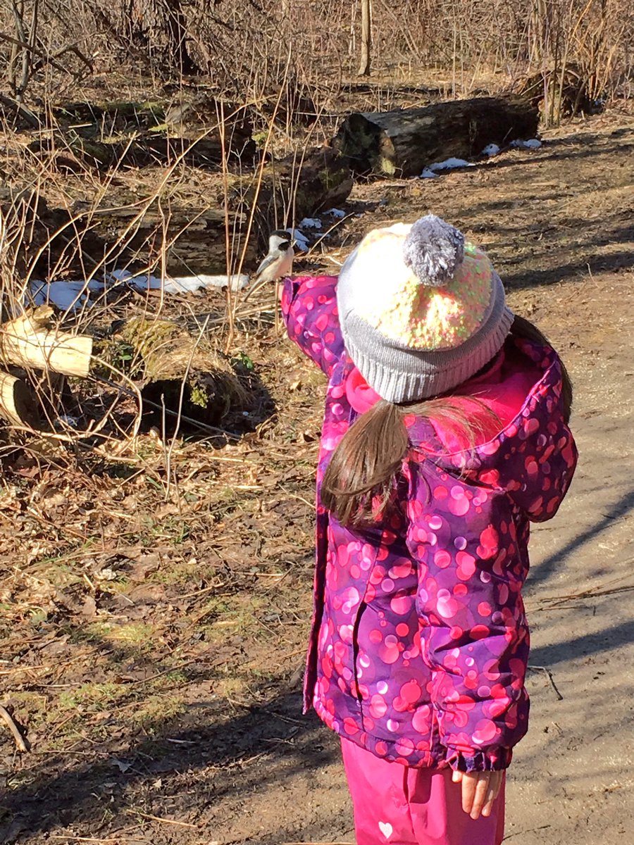 kkniginyzky's tweet photo. Our children calmly wait to greet the chickadees at Riverwood! @Ms_hagerman @FloradalePS https://t.co/OixYbmcPTp