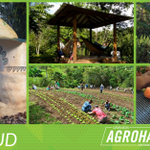 Photo by Agrohack Conference (@AgrohackPR)