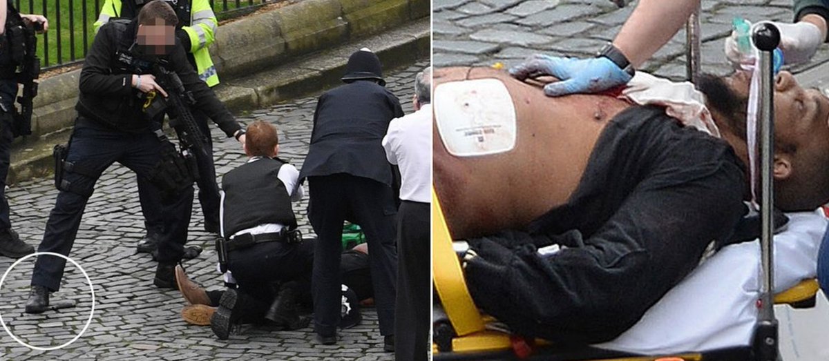 Armed cops draw their guns outside Parliament after an attacker went on a rampage mowing down a dozen pedestrians on Westminster Bridge before stabbing a cop. 