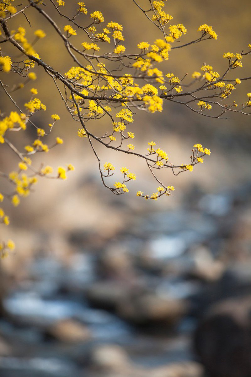 힘들고 지쳤다는 건 
노력했다는 증거

슬럼프가 왔다는 건 
열정적이었다는 증거

실패했다는 건 
도전했다는 증거

긴장된다는 건 
그만큼 진심의 증거

그만둘까는 지금까지 희망을 
버리지 않고 있던 증거