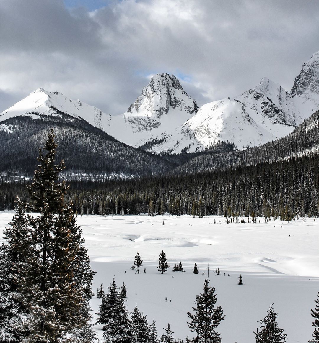_LocalPony's tweet image. Had an amazing stay at @mountengadine this wknd. (check the pic for a 15% off coupon code!) #client buff.ly/2nRRWmc #explorealberta