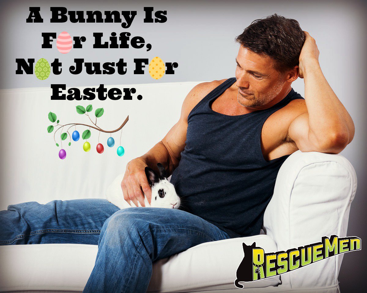 #Easter is coming and good thing to remember – #Bunnies are NOT a gifts and NOT a toys.
 <a href="/GreggAvedon/">Gregg Avedon</a> <a href="/NYCACC/">Animal Care Centers of NYC</a> 
#happyeaster #bunny #rabbit
