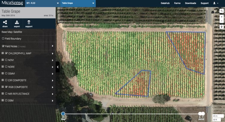 MicaSense's tweet image. Up on our blog: A farmer uses #RedEdge &amp;amp; our chlorophyll map to pinpoint potassium deficiency. #AtlasData included! bit.ly/2mt5De3