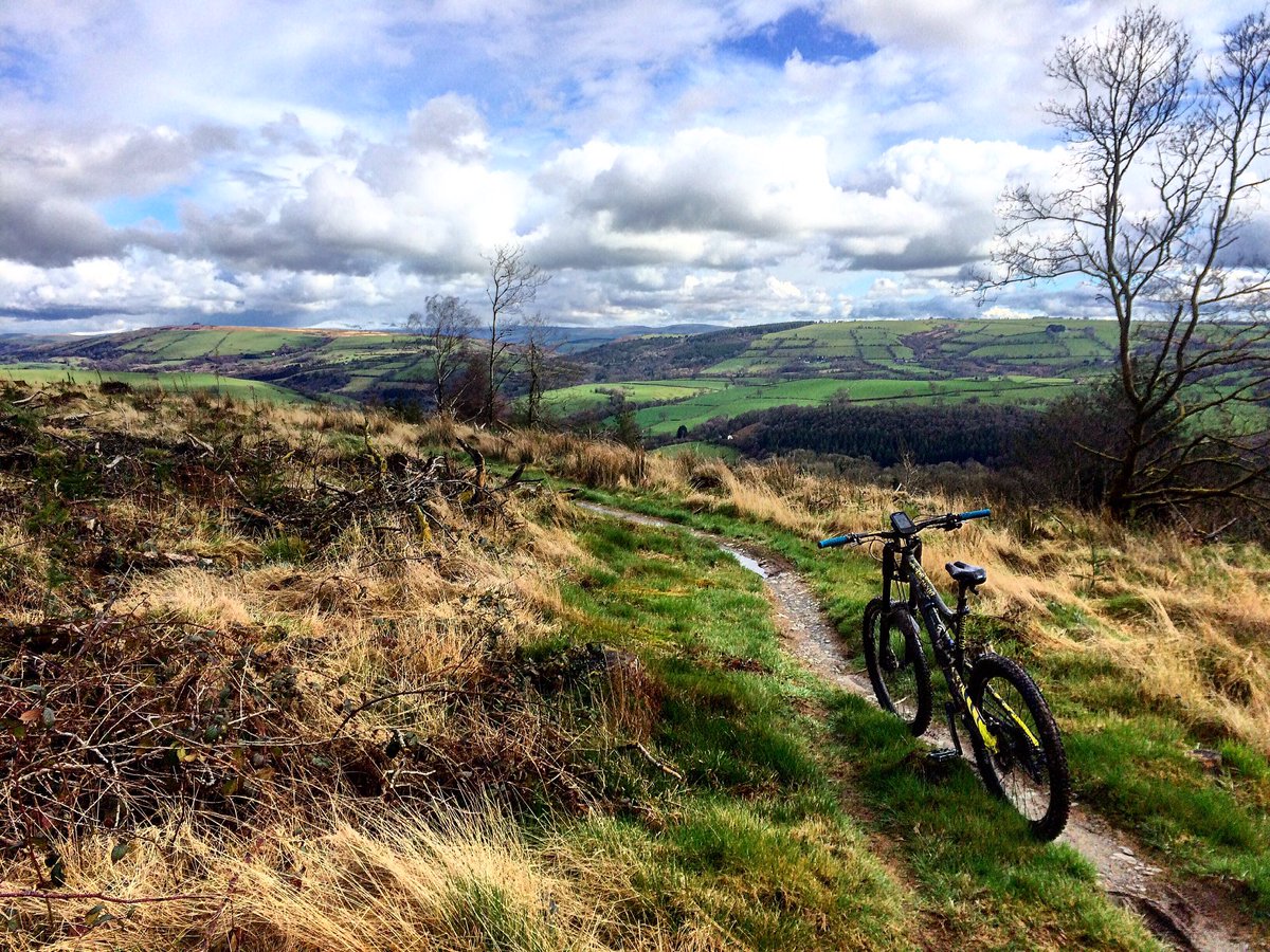 _mbspain's tweet photo. Pretty amazing view at the top of #Brechfa forest this afternoon! #mtb #wales #challenge365 #findyourepic #bionicon #edisonevo https://t.co/6wY2wWgnpU