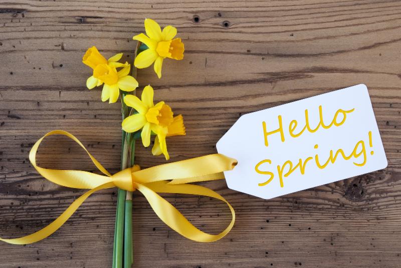 Spring has Sprung at the Little Inn! conta.cc/2nCpWFN
