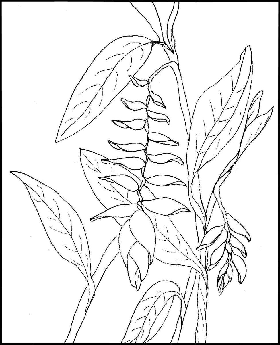 dazeandnites's tweet photo. Favorite Florals: #Coloring Book for Adults who Enjoy Gardens and #Flowers
https://t.co/bJYHud1JYY https://t.co/CDpjqOzW9e