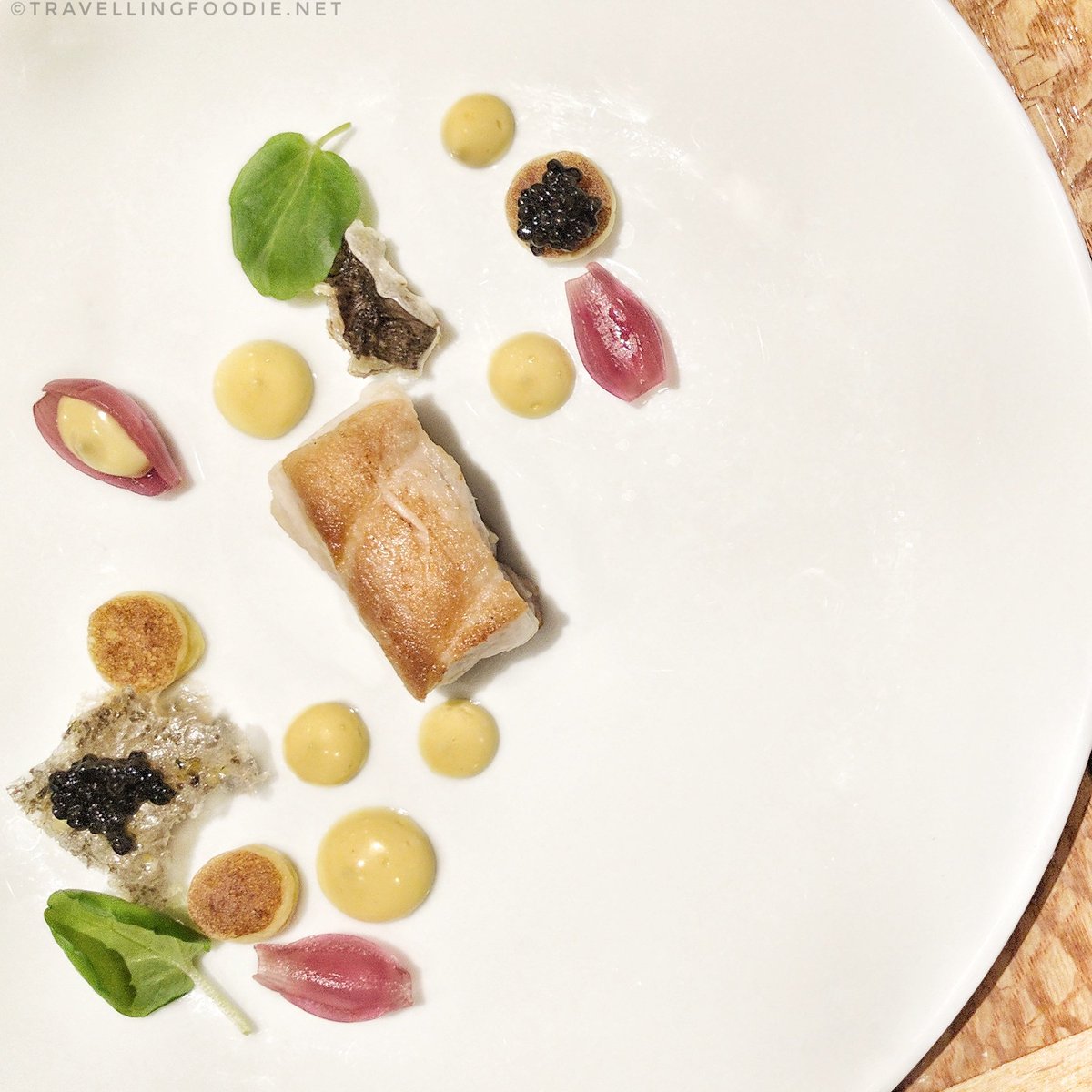 Northern Divine Sturgeon from Air Canada Club at Air Canada Centre in Toronto for Ocean Wise & MLSE Event
