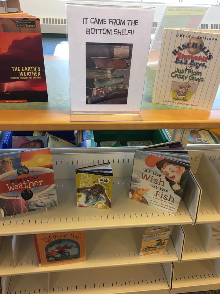 ParsippanyLib's tweet photo. We're trying to bring some love to books that tend to be hidden. Come experience some hidden gems from the bottom shelves! #MAINtransforms https://t.co/w8vTNmtEAm